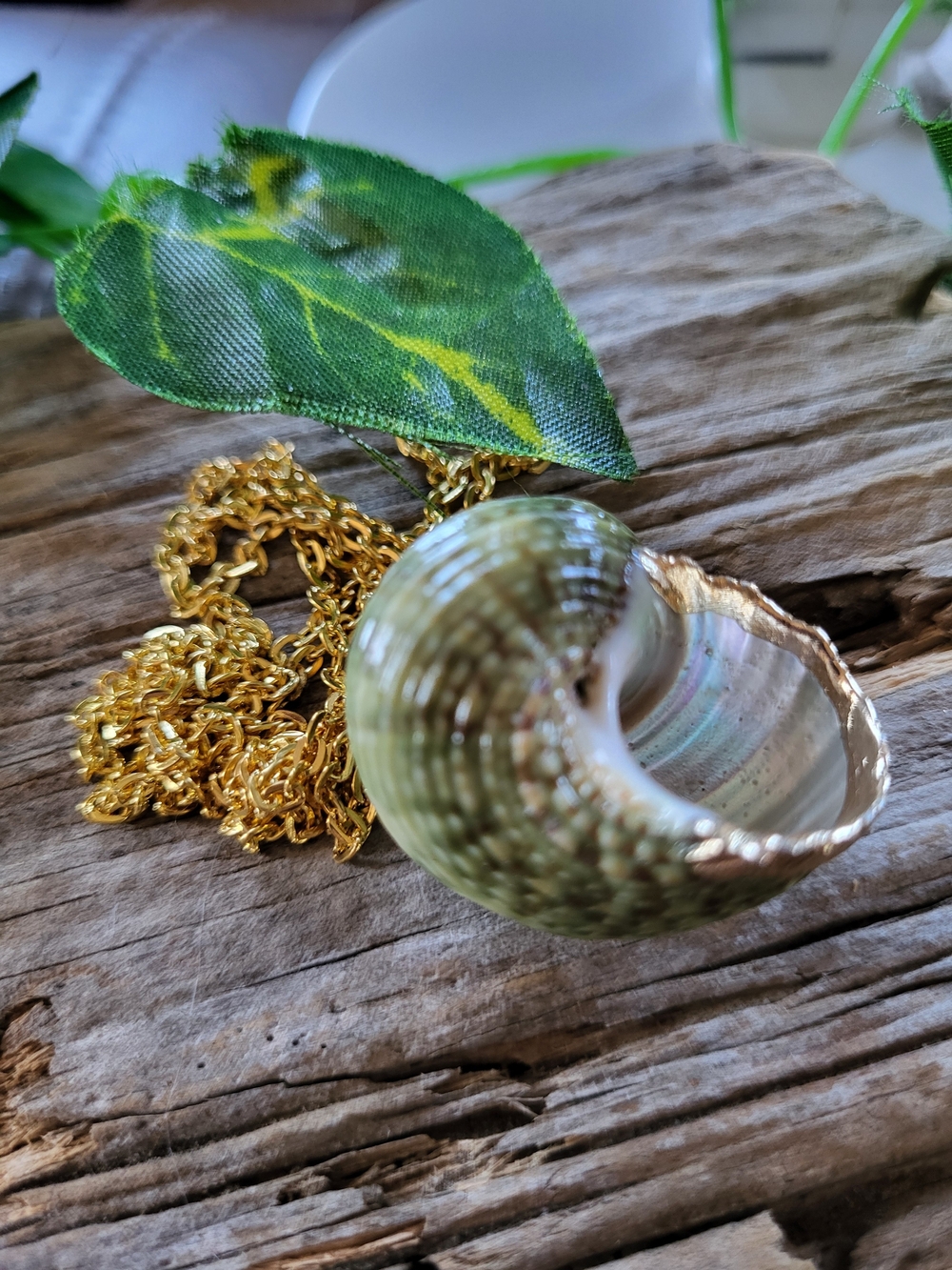 Green Iridescent Shell With Gold Toned Trim Necklace